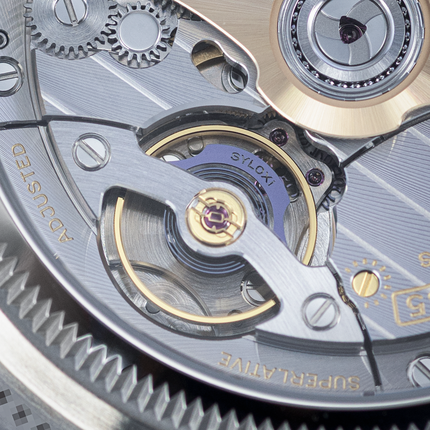 Close-up of Stainless Steel Rolex Land-Dweller Ref. 127334 40mm