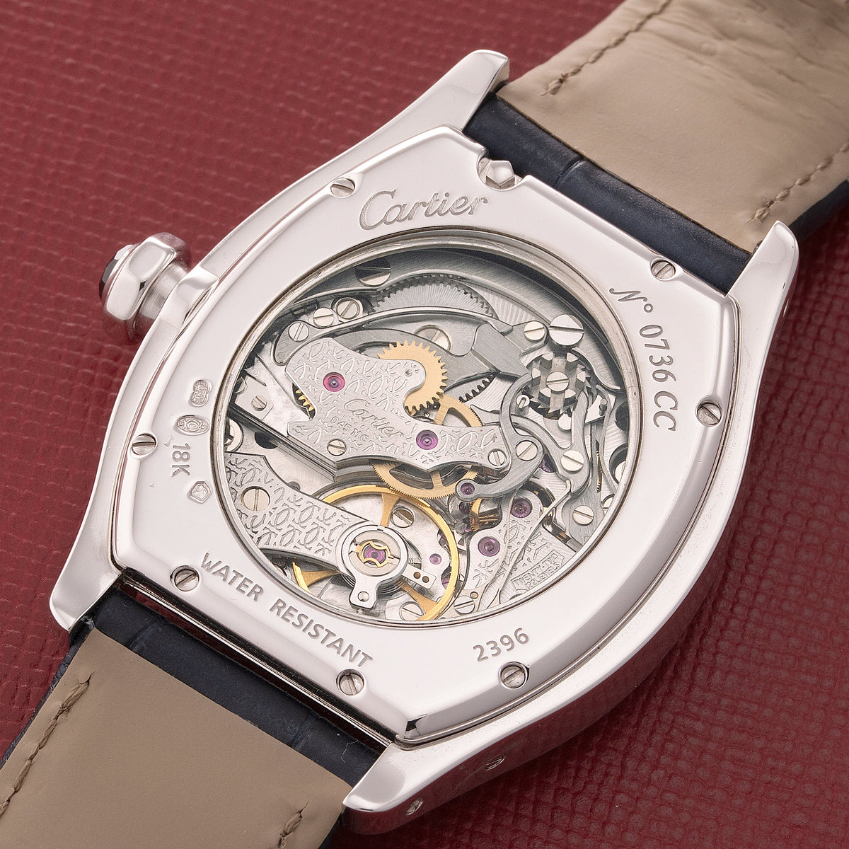 Tortue Monopoussoir "CPCP"