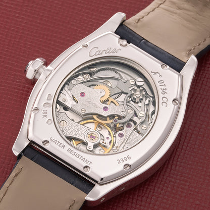 Tortue Monopoussoir "CPCP"